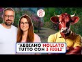 La Mucca Rossa RECENSIONE REALE: Coppia con 3 Figli molla tutto grazie a YOUTUBE AUTOMATION