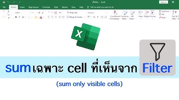 Excel บวกเฉพาะ cell ที่มองเห็นจากตัวกรอง (sum only visible cells)