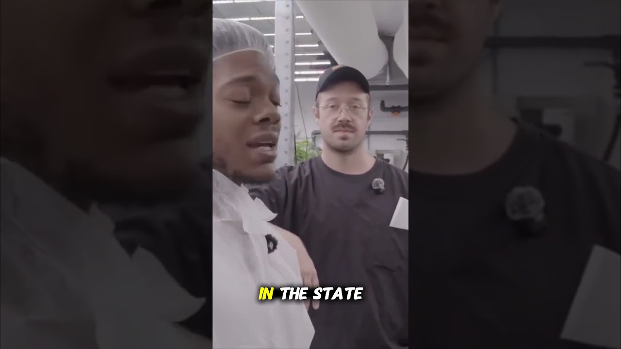 Michigan Grow facility : Tour of Tours : Vol. 1 : Ep. 3 - Voyage Bloom