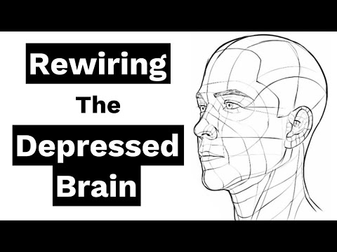 Rewiring the Depressed Brain