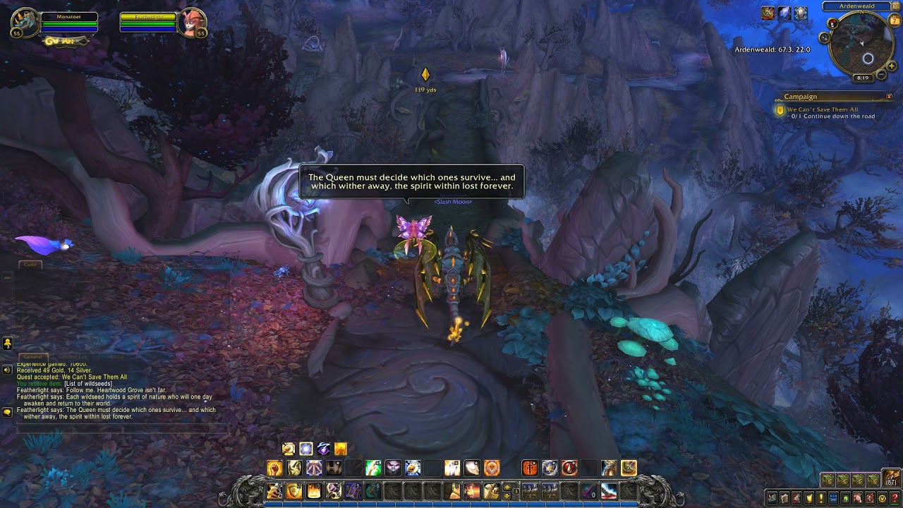 Shadowlands Quest 176: We Can't Save Them All (WoW, human, Paladin)