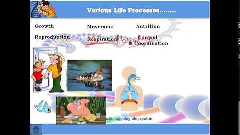 Biology Life Processes part 1 (Introduction) CBSE class 10 X