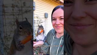 When a wild squirrel trusts you #fyp #squirrel #trust #animal #love #cute #foryou