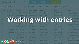 Working with Entries - Cognito Forms