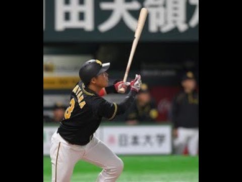 阪神、大山が４番弾“２０１９年第１号”２ランTop News