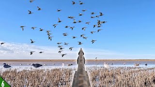 Duck Hunting FLOODED Wheat | (Catch, Clean, Cook)