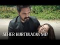 Yaman Seheri Kurtarabilecek Mi? | Legacy 12. Bölüm