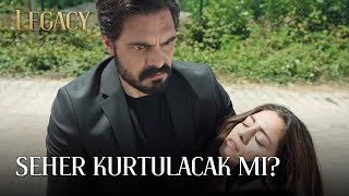 Yaman Seheri Kurtarabilecek Mi? | Legacy 12. Bölüm