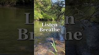 Quick Nervous System Reset (30 Seconds)