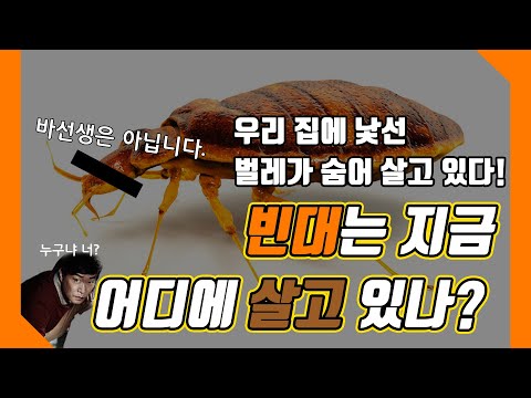 #6 빈대는 지금 어디에 살고 있나? 전파과학사 재미있는 과학이야기