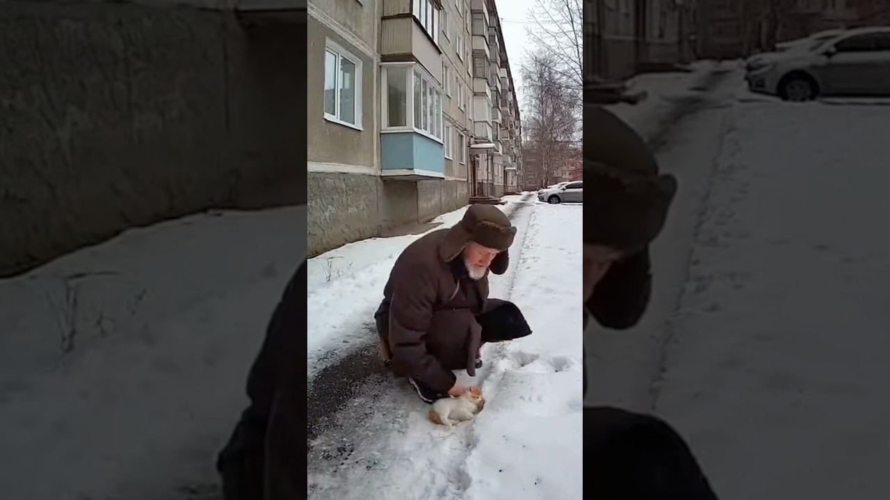 Grandfather saved a cat on the street🐈 