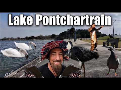 IRL | Lake Pontchartrain Greatness