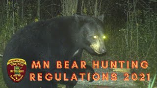 MN Bear Hunting Regulations