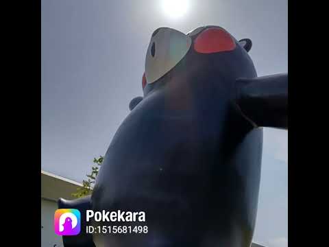 ポケカラで歌ってみた✨   SGさんの僕らまたshort ver.歌が好きで歌ってます✨オリジナルも１曲載せてますので、良かったら、聴いてみてくださいね😊✨