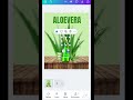 3/100 graphic design chelleng #canva #graphic #alovera #shorts #vairal