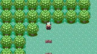 Littleroot Town had potential...