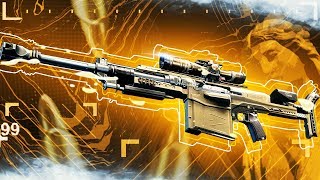 The NEW HAVELINA AA50 BO4 Sniper Rifle @Frozybear