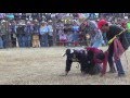 JARIPEO DE NIÑOS PARA REIRNOS UN POCO FEBRERO 2016 PAYASO TOSTACHO GABACHO