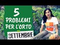 ORTO di SETTEMBRE: problemi comuni e soluzioni