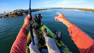 I Found A LOT Of FISH Here  Multispecies Inshore Fishing in the Florida Salt