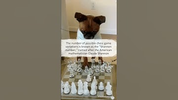 There are more possible chess game variations than atoms in the universe | #didyouknow #facts