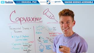 How does the Pneumococcal Vaccine Capvaxive Work