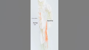 BCom Subjects List for RTMNU Nagpur University, BCom 1st Year Syllabus For RTMNU