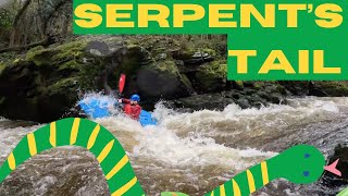 Serpent's Tail—A Fresher's Guide
