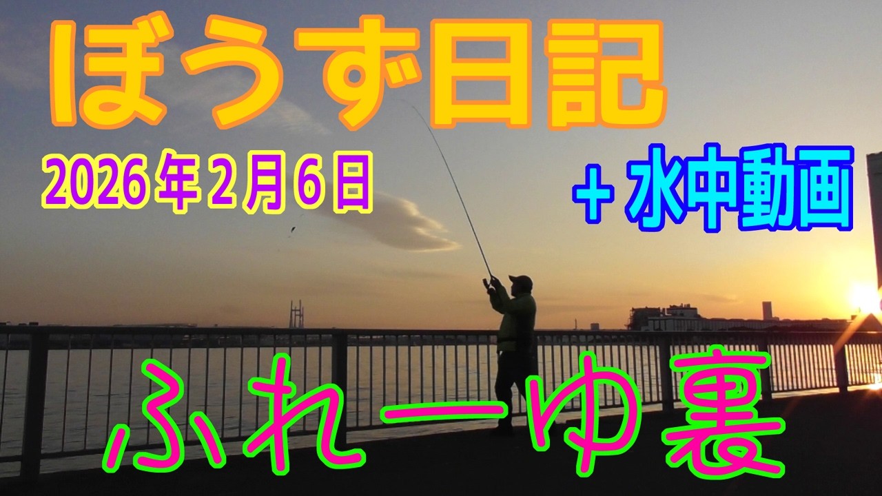 ぼうず日記+水中動画（ふれーゆ裏）※2025年2月6日