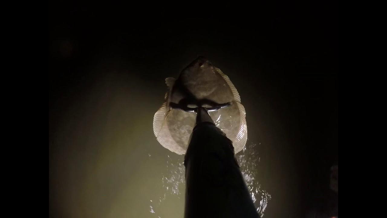Winter Flounder Gigging Galveston Bay YouTube