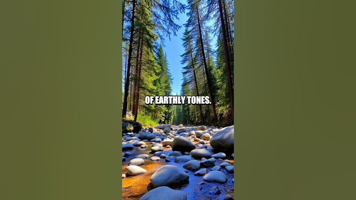 The Extraordinary Talent: Echo of the Rocks