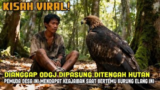 Download Lagu VIRAL! DIANGGAP ODGJ DIPASUNG DITENGAH HUTAN PEMUDA DESA INI MENDAPAT KEAJAIBAN BERTEMU BURUNG ELANG MP3
