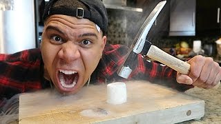 Science Experiment LIQUID NITROGEN vs GIANT MARSHMALLOW