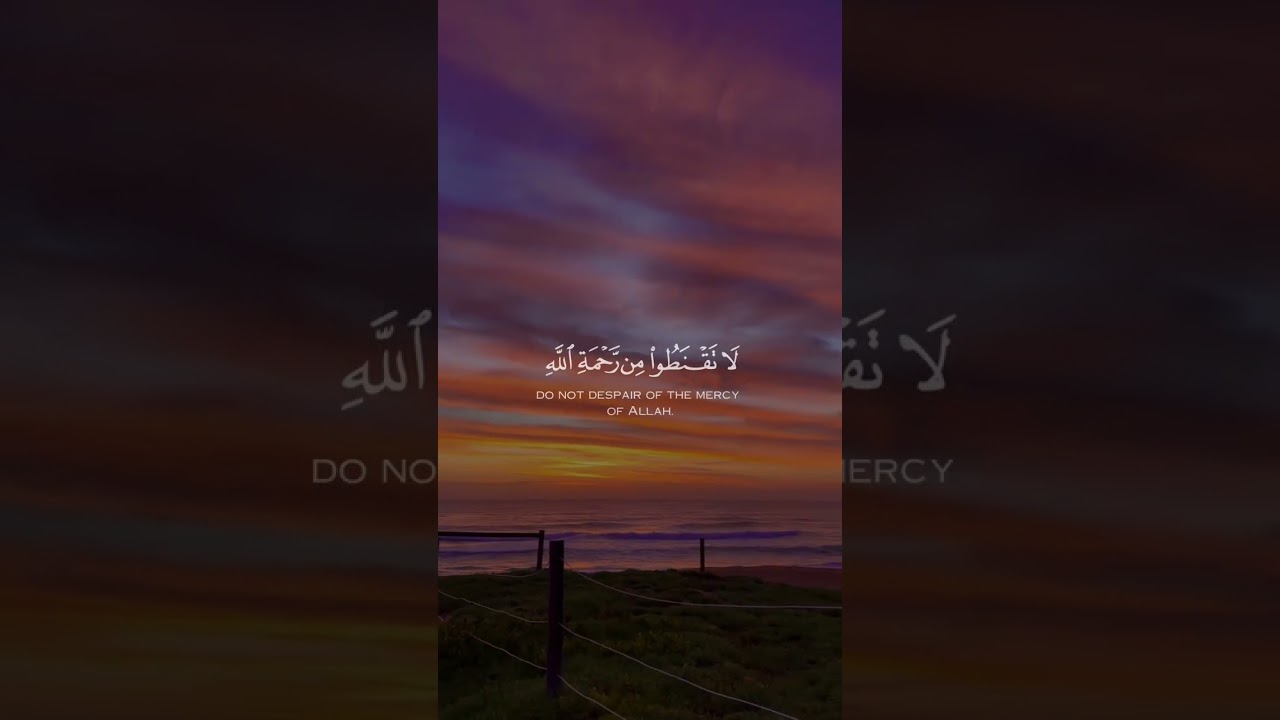 󠀠"Rays of Mercy: Embracing Divine Redemption" | Quranic Moments