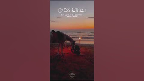 ماتيسر من سورة إبراهيم بصوت القارئ مالك أحمد