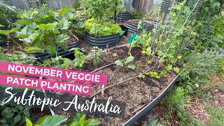 What to plant in November - Australia Subtropical Vegetable Garden