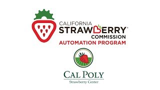 Strawberry Automation 2018 Interviews