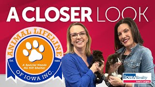 Animal Lifeline of Iowa: A Special Needs, No Kill Shelter