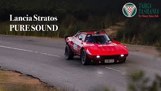 Targa Tasmania 2025 - Lancia Stratos, Pure Sound
