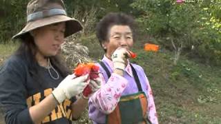 러브 人 아시아 - Love In Asia 20091103  #001