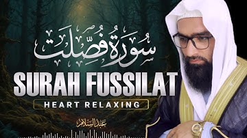 اجمل التلاوت المميزة من سورة فصلت | للقاري الشيخ عبد السلام
