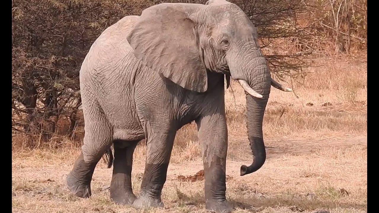 CHIMBO: TAZAMA MAAJABU YA MKOA WA IRINGA