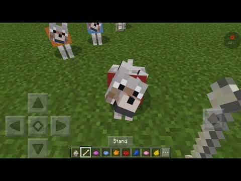Minecraft pe สอนใส่ปอกคอหมา