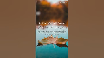 تلاوة هادئة تريح الأعصاب 😴🎧 | القارئ عبد الله الموسى - سورة النساء 🧡🍁."