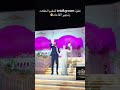 قاعه قاعات افراح قاعه فلورا قاعات علياء صبري عروض علياء صبري علي قاعات الافراح 