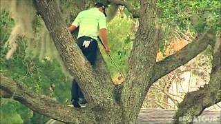 Sergio Garcia Climbs A Tree To Hit One-Handed Second Shot