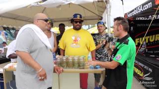 2015 HIGH TIMES Michigan Medical Cannabis Cup - TNT MMMP