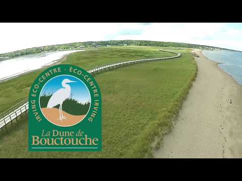 The Great Canadian Shoreline Cleanup - La Dune de Bouctouche, NB, Canada