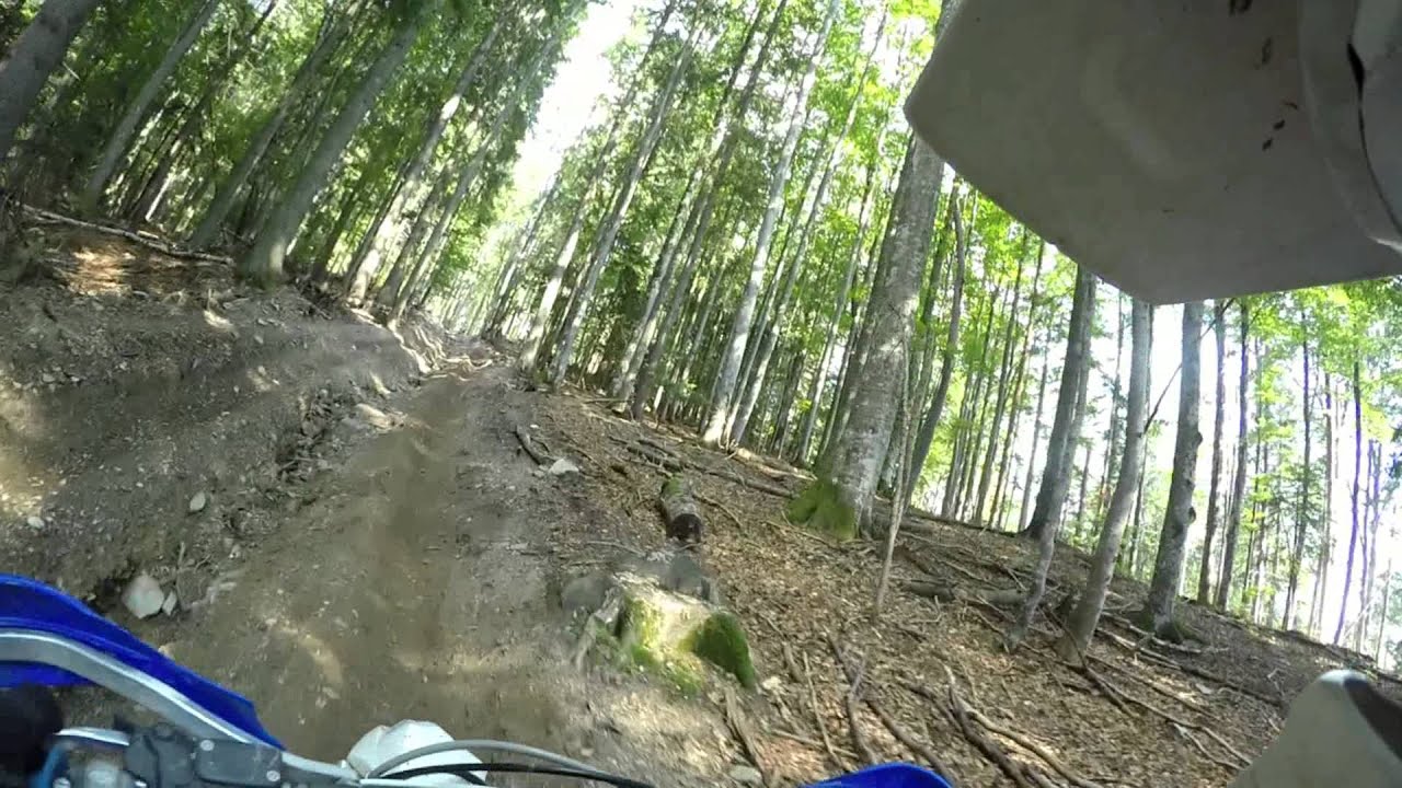 Regiment 13 prolog 2015