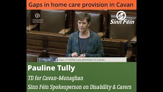 Topical Issue - Gaps in home care provision in Cavan